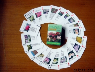 �V���� (3)